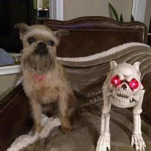 Meet your Posher, Sandra